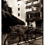 Img_6106_card