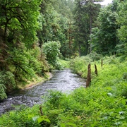 Silver_falls_038_card