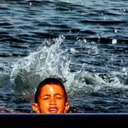 Merci-mr-le-photographe_card