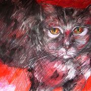 Img_1224_card