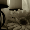 Flower_thumb