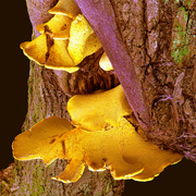 Untitled_2_card