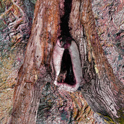 Untitled_card