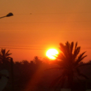 Photo-144_card