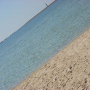 Photo-163_card