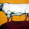Bullfinal_thumb