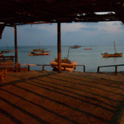 Photo-161_card