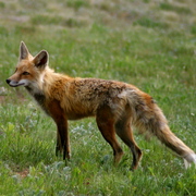 Img_3084_card