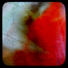 Ph071008-1_thumb