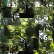 Treespirit2_card