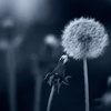 Eve04_thumb