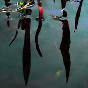 The_water_letter_card