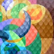 S6305864_card