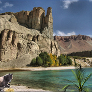948-desert_beach_card