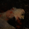 Till_death_do_us_depart_thumb