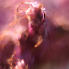 Fantasy__part_of_the_flower__thumb