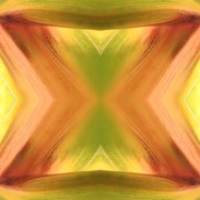 Abstraction___the_leaf_of_the_maize__card