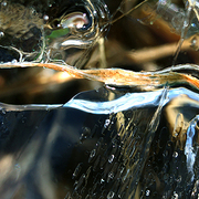 Wave__melting_ice__card