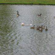 Picture_891_card