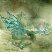 The_giver_card