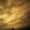 100_1303_thumb