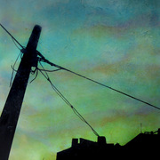 Luscofusco_estudio_card