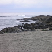 93320079_card