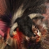 Touro_furioso-furiuos_taurus_thumb