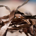 Dry_square