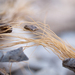 Piece_square