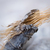 Dragon_tiny_square