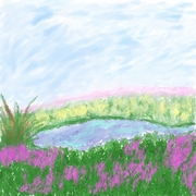 Spring_card