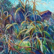 Indian_corn1_card