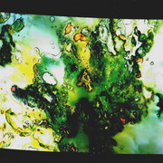 S9f13cd_card