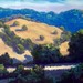 Golden_hillside_2_square