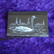 Dscf0035_card