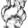 Goose800_thumb