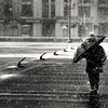 3668869-md_thumb