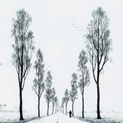 Hitch-hiker_400_card