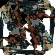 4reiter-collage-anim_card