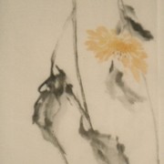 Ch-84-03-0451-chrysanthemum_scroll-207-jpg_card