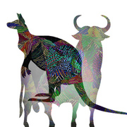 Bullo_card