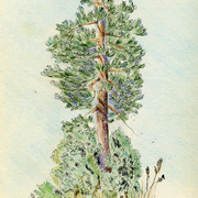 Plein_air_3_card