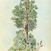 Plein_air_3_thumb