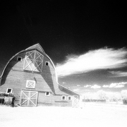 Barn_card