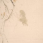 Ch-91-10-0451-squirrei_scroll-214-jpg_card