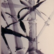 Ch-127-17-7605-bamboo_scroll-jpg_card