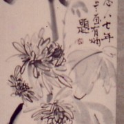Ch-137-chrysanthemum_scroll-jpg_card