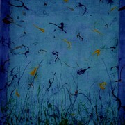 Img005_card