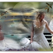 Novia_card